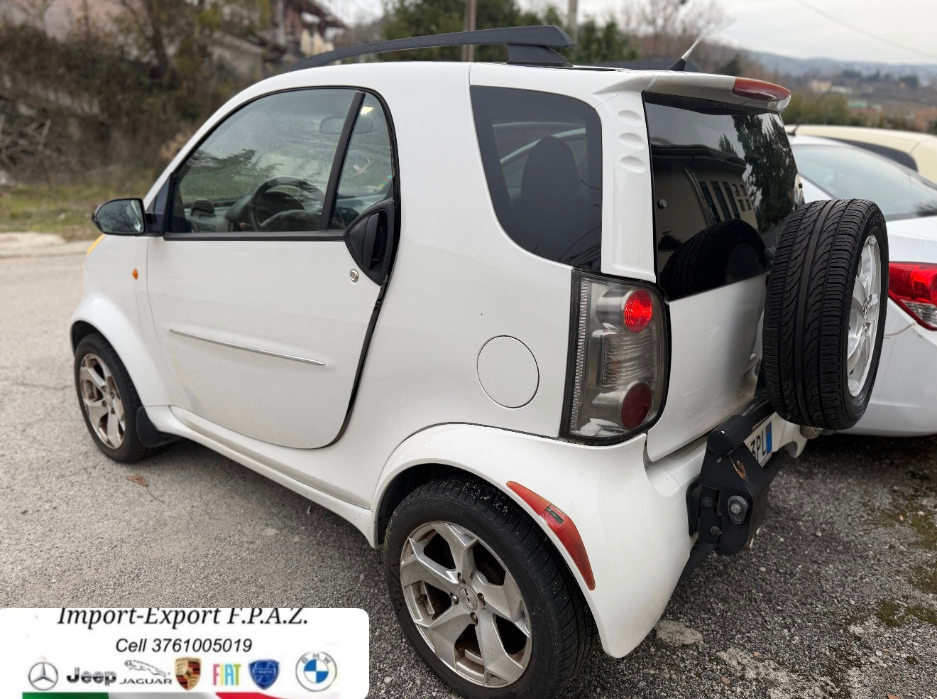 Martin Motors Motorizzazione Suzuki